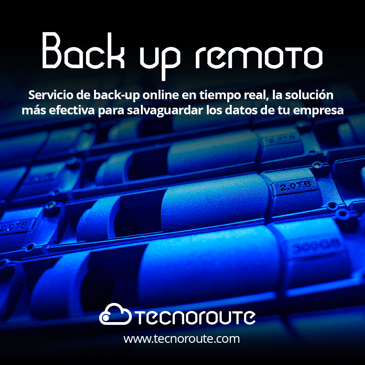 Back up remoto de datoss